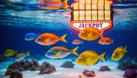 Tembak Ikan Jackpot